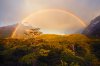 Double-Rainbow,-Dwarf-Forest,-Laguna-Torre.jpg