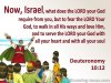 Deuteronomy 10-12 Fear God, Walk In His Ways Love and Serve Him red.jpg